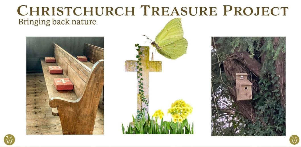 Christchurch Treasure Project. Bringing back nature.